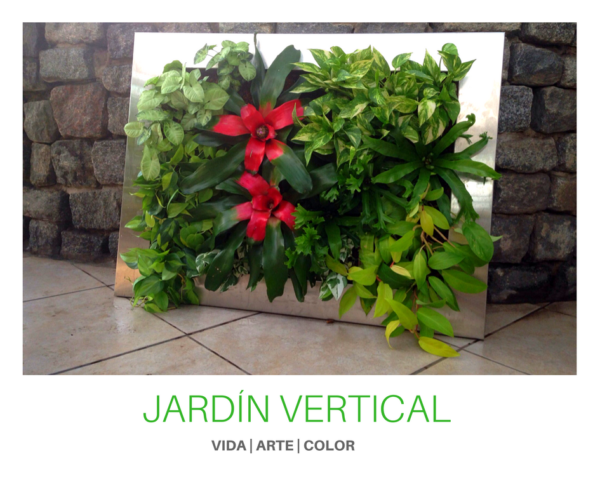 Jardín Vertical Enmarcado