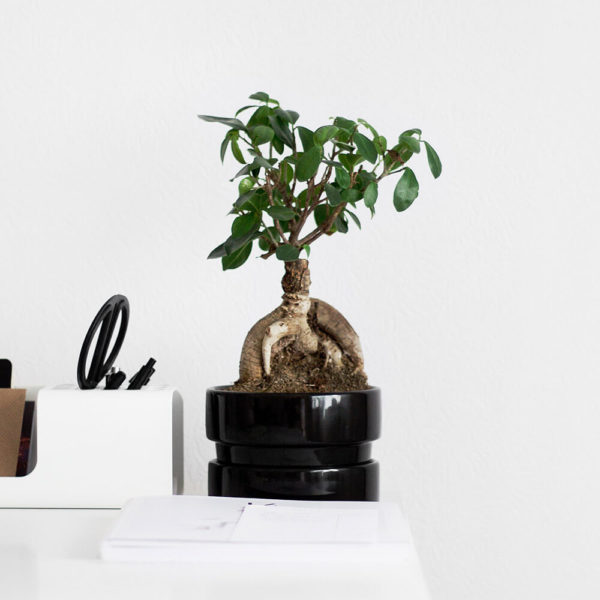 Product – 03